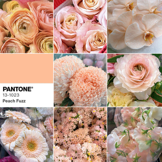 當花禮遇上Pantone 2024 流行色「Peach Fuzz 柔和桃」